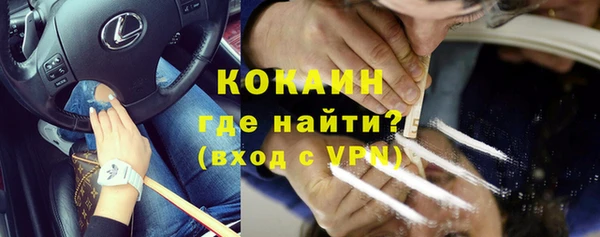 крисы Мегион