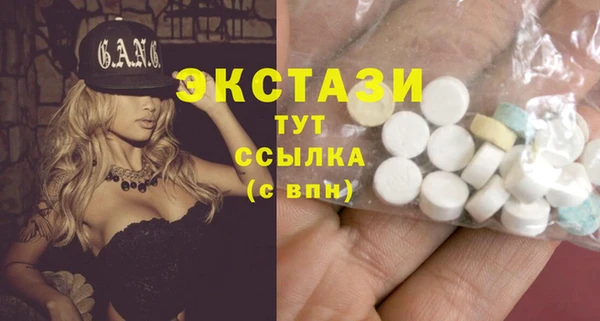 крисы Мегион