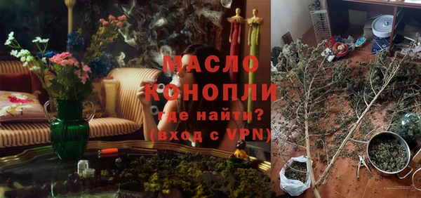 крисы Мегион