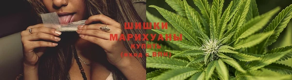 крисы Мегион