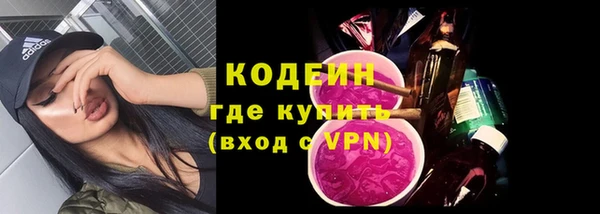 крисы Мегион