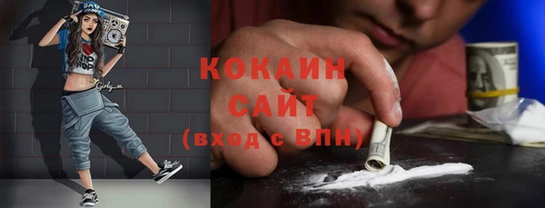 крисы Мегион