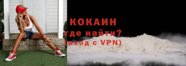 крисы Мегион