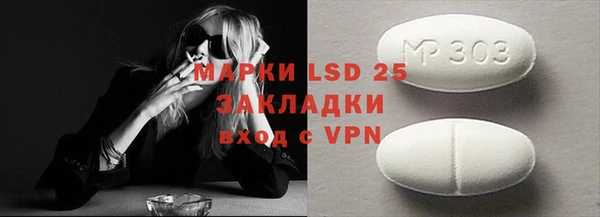 крисы Мегион