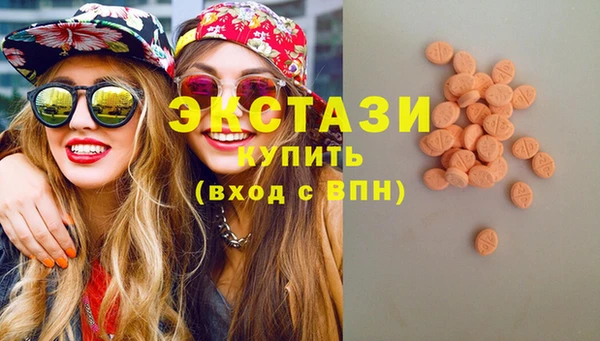крисы Мегион