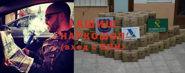 крисы Мегион