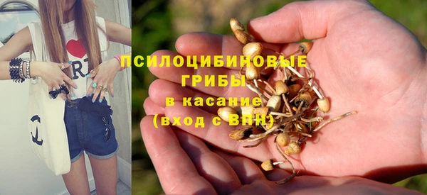 альфа пвп Медногорск